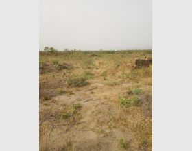 Registered area plot
