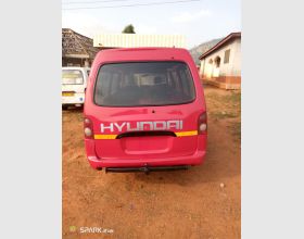 Hyundai Grace H-100