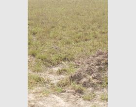 serene litigation free plot