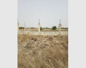 mega sales on land