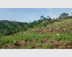  6 Plots Of Land At Mamfe 