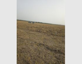 land plus indenture