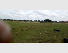 Afienya Mobole & Prampram Lands 4 Sale