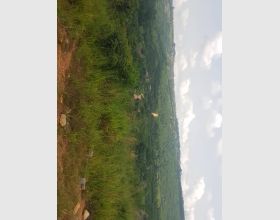 Lands for Sale at Aburi Gontey