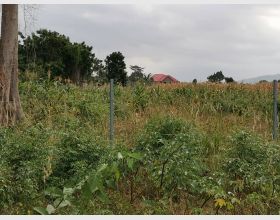 Lands for sale at Bawaleshie