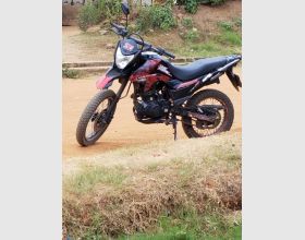 Apsonic Jungle bike for sale 