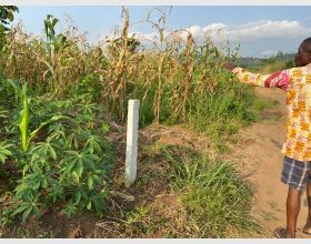 Land for sale in Koforidua