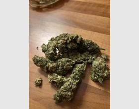 Kush herbs 