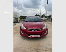 2015 Hyundai Elantra Sports