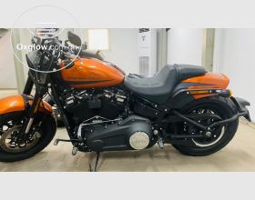 2019 Harley Davidson fatbob