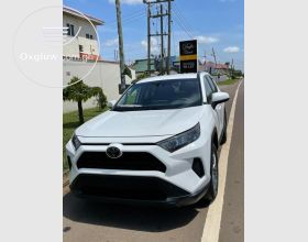 2020 Toyota RAV4 Basic Option