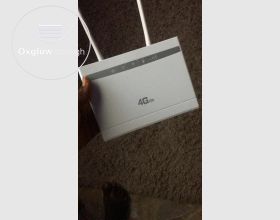 Already Decoded 4GLite Router