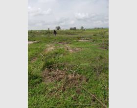 Apollonia City Lands 4 Sale