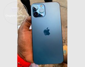 Apple iPhone 12 Pro Max 256Gb