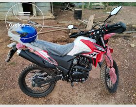 Apsonic jungle 170 GY-7