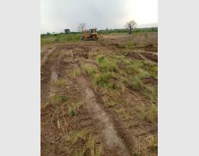 ASUTUARE FARMLANDS 4 SALE