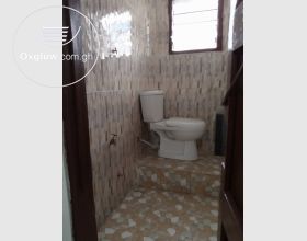 Big and nice single room self-contained available