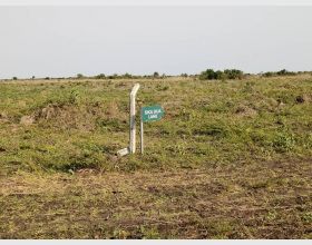 Good Dawhenya Lands 4 Sale