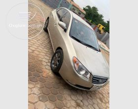 Hyundai Elantra 2007 Model