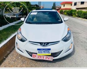 Hyundai Elantra 2013 Model