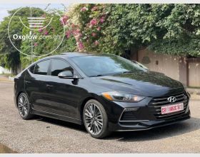 Hyundai Elantra Sports 2018 Model