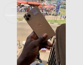 iPhone 11 Pro Max 64Gb