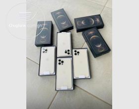 iPhone 12 Pro Max