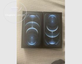 iPhone 12 Pro Max 256Gb