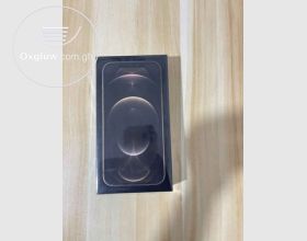 iPhone 12 Pro Max 256Gb