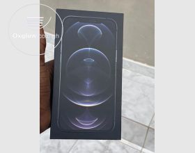 iPhone 12 Pro Max 256Gb