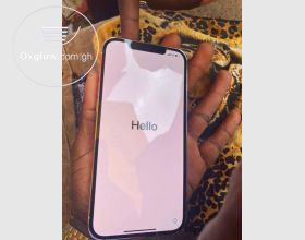 iPhone 12 Pro Max 256Gb