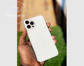iPhone 12 Pro Max 512Gb