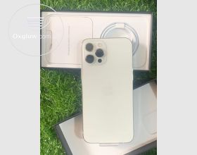 iPhone 12 Pro Max 512Gb