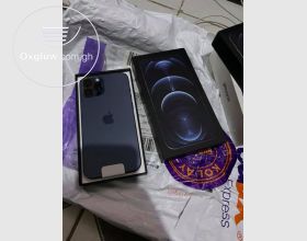 iPhone 12 Pro Max
