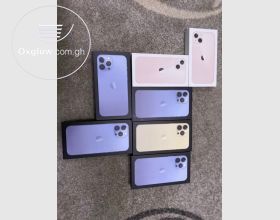 iPhone 13 Pro Max