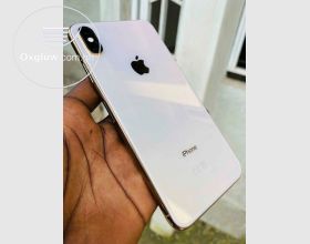 iPhone XS Max 256Gb