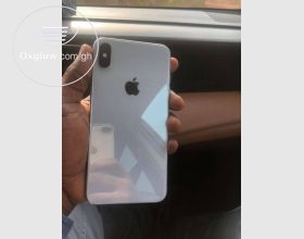 iPhone XS Max 256Gb