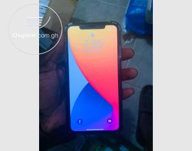 iPhone XS Max 256Gb
