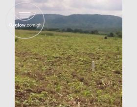 Land for sale or Rent