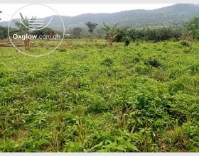 LANDS FOR SALE