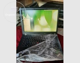 Lenovo ThinkPad Daul Core Laptop