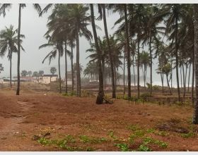 LITIGATION FREE PLOTS (BEACHFRONT)Â°