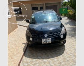 Nissan Murano 2004 Model