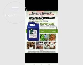 Organic Farm Products
