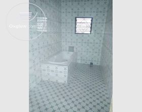 Professional Tiler