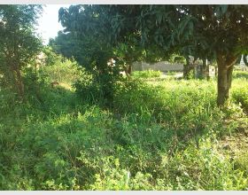 Registered Land for sale at ACP.