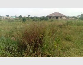 Registered Land for sale at Domefaase near Amasaman