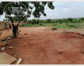 REGISTERED LANDS FOR SALE AT WEIJA