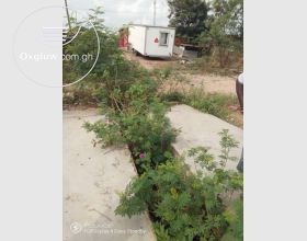 Road Side Land For Sale