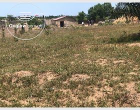 Roadside Land For Sale